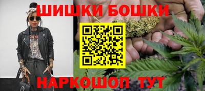 индика Лесосибирск