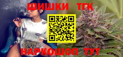 индика Лесосибирск