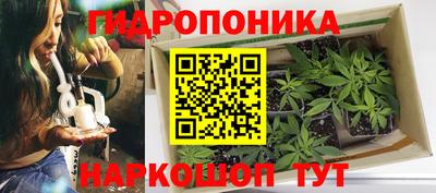 2c-b Ливны