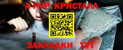 индика Лесосибирск